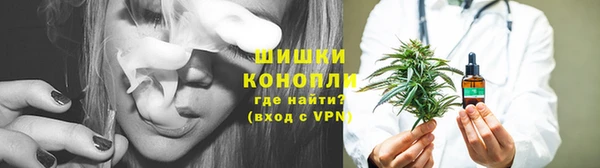 амф Зерноград