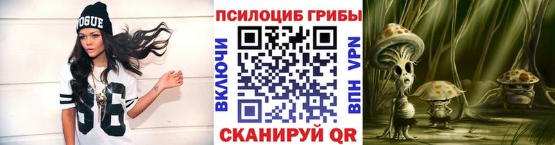 Псилоцибиновые грибы прущие грибы наркота Камызяк